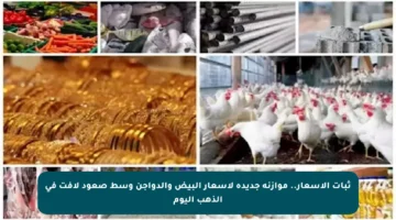 ثبات الأسعار.. موازنة جديدة لأسعار البيض والدواجن وسط صعود لافت في الذهب اليوم